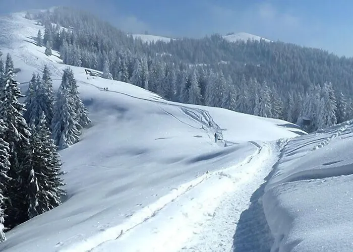 Gastehaus Alpina 3* باد كوهلغرب