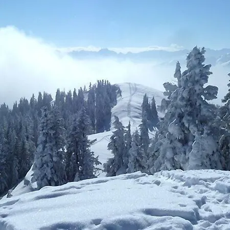 Gaestehaus Alpina Affittacamere 3*