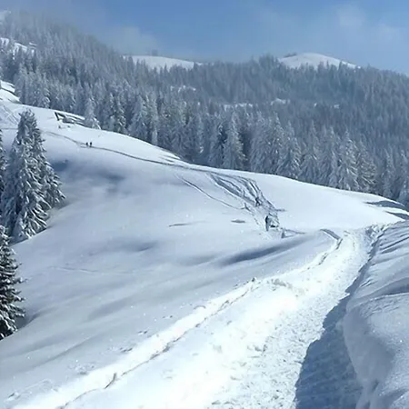 Gaestehaus Alpina 3* Bad Kohlgrub