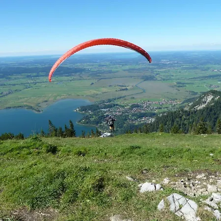 Affittacamere Gaestehaus Alpina 3*